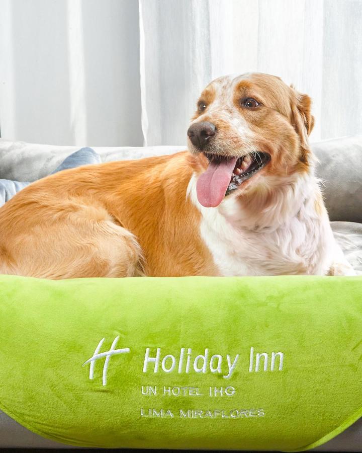Holiday Inn - Lima Miraflores By Ihg Екстериор снимка